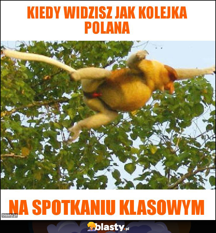 KIEDY WIDZISZ JAK KOLEJKA POLANA