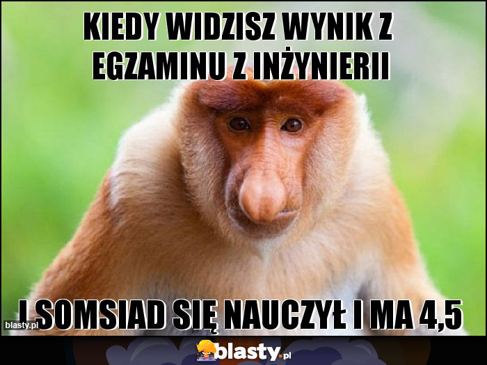 Kiedy widzisz wynik z  egzaminu z inżynierii