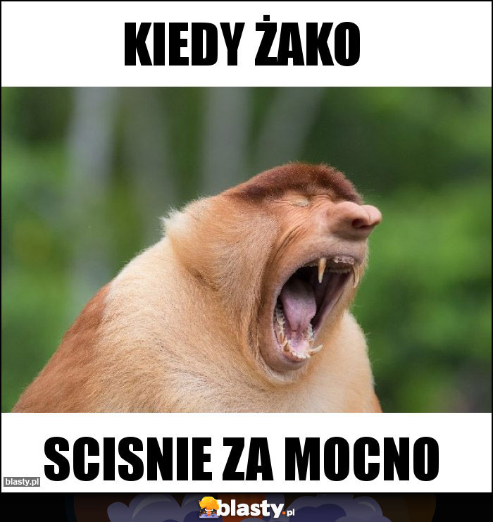 Kiedy Żako