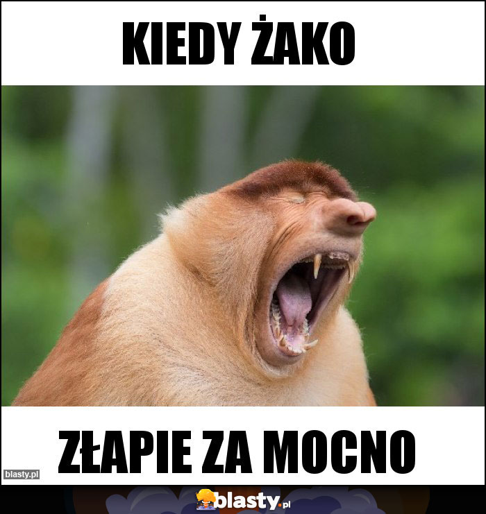 Kiedy Żako