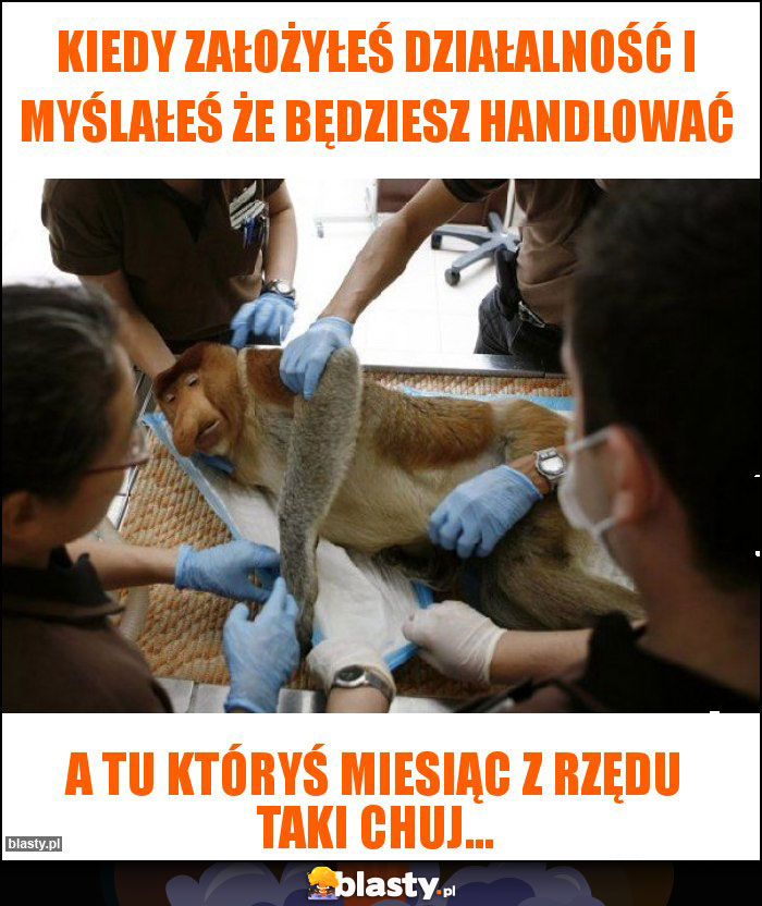 Kiedy założyłeś działalność i myślałeś że będziesz handlować