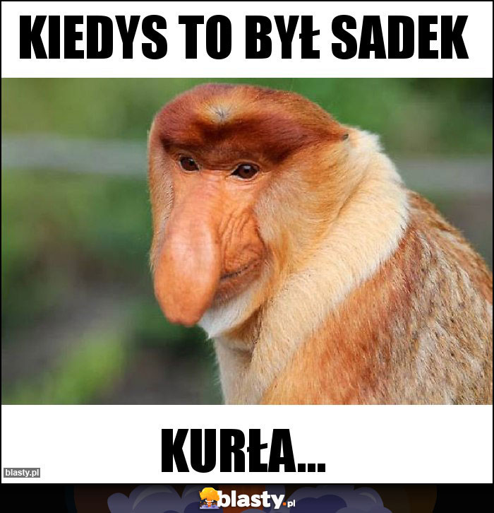 Kiedys to był sadek