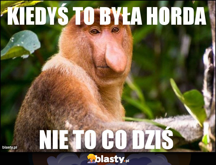 Kiedyś to była Horda