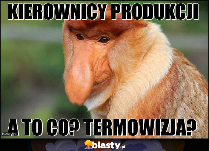 Kierownicy produkcji