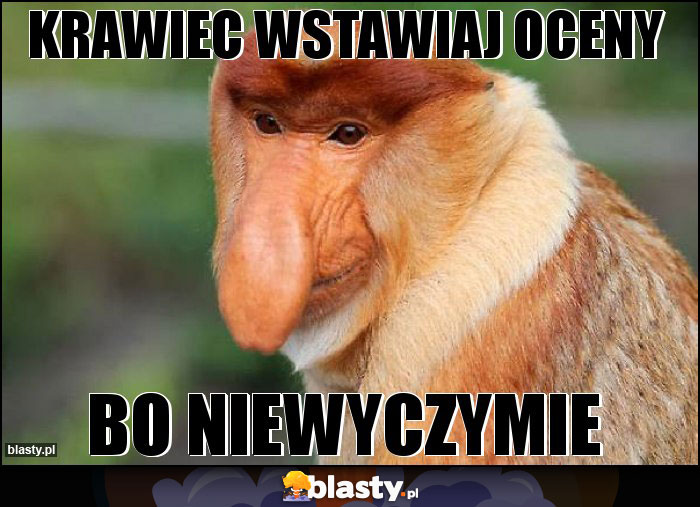 KRAWIEC WSTAWIAJ OCENY