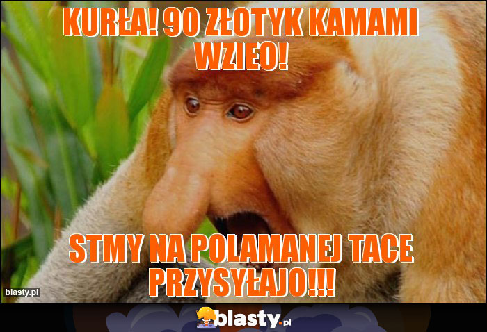 KURŁA! 90 ZŁOTYK KAMAMI WZIEO!