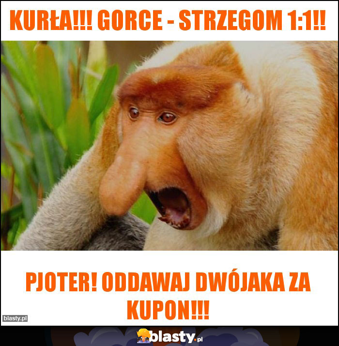 Kurła!!! Gorce - strzegom 1:1!!