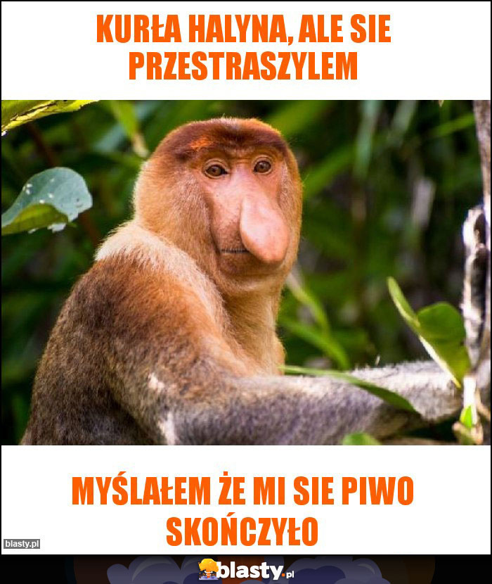 Kurła Halyna, ale sie przestraszylem