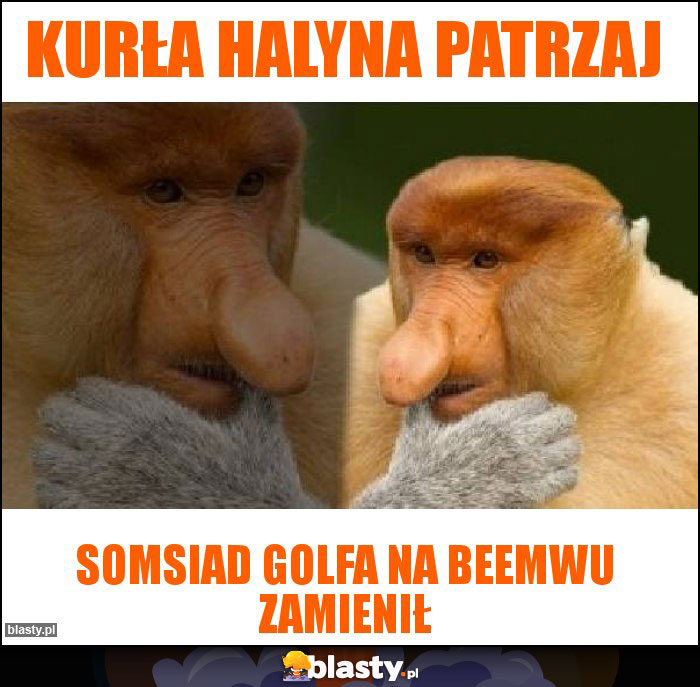 Kurła Halyna patrzaj