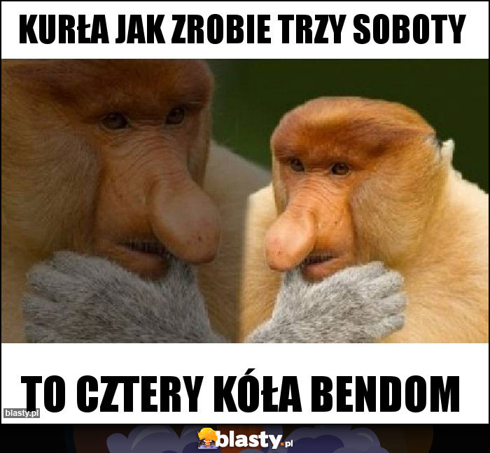 Kurła Jak Zrobie Trzy Soboty