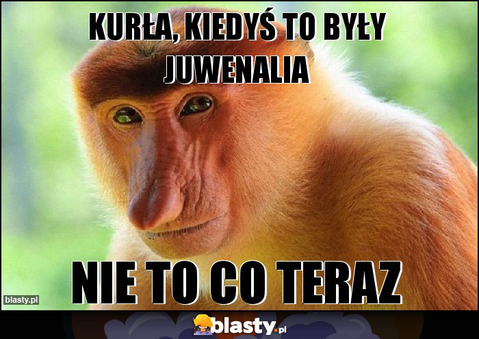 Kurła, kiedyś to były Juwenalia