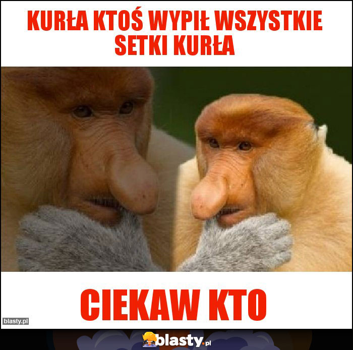 kurła ktoś wypił wszystkie setki kurła