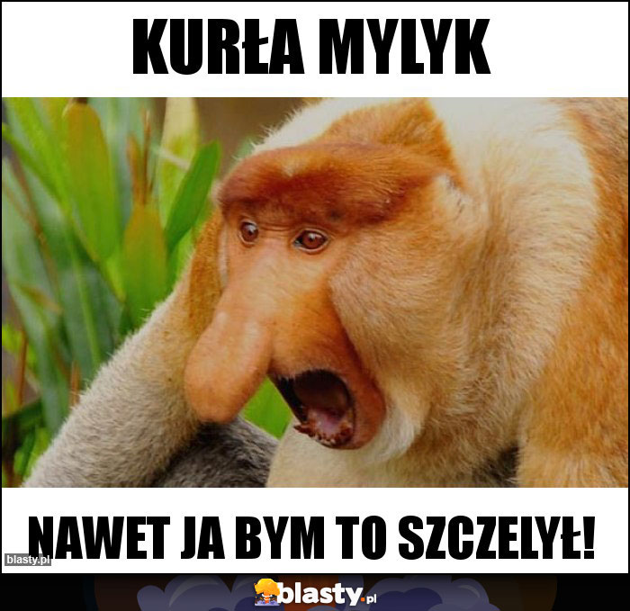 Kurła mylyk