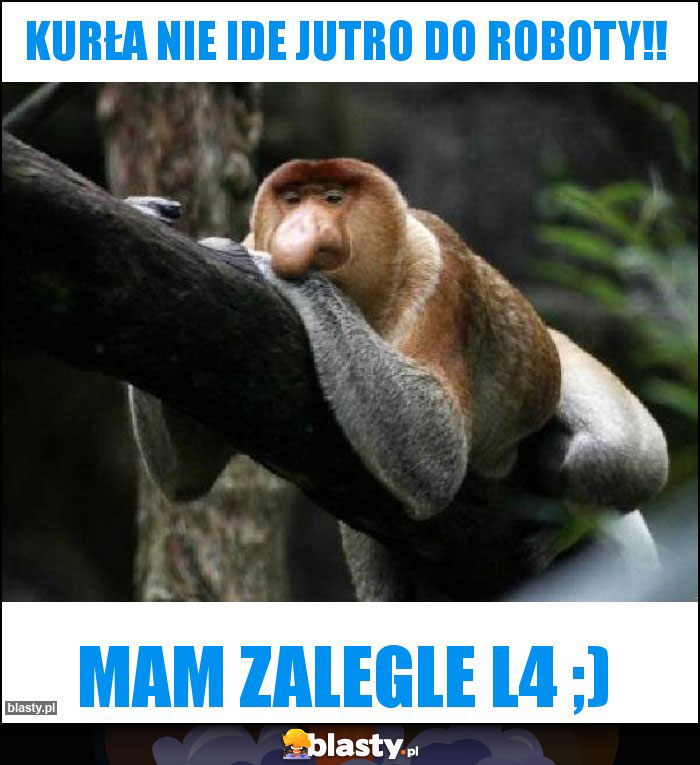 KURŁA NIE IDE JUTRO DO ROBOTY!!