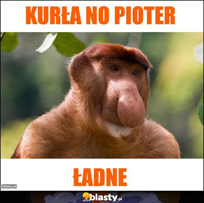 Kurła no Pioter