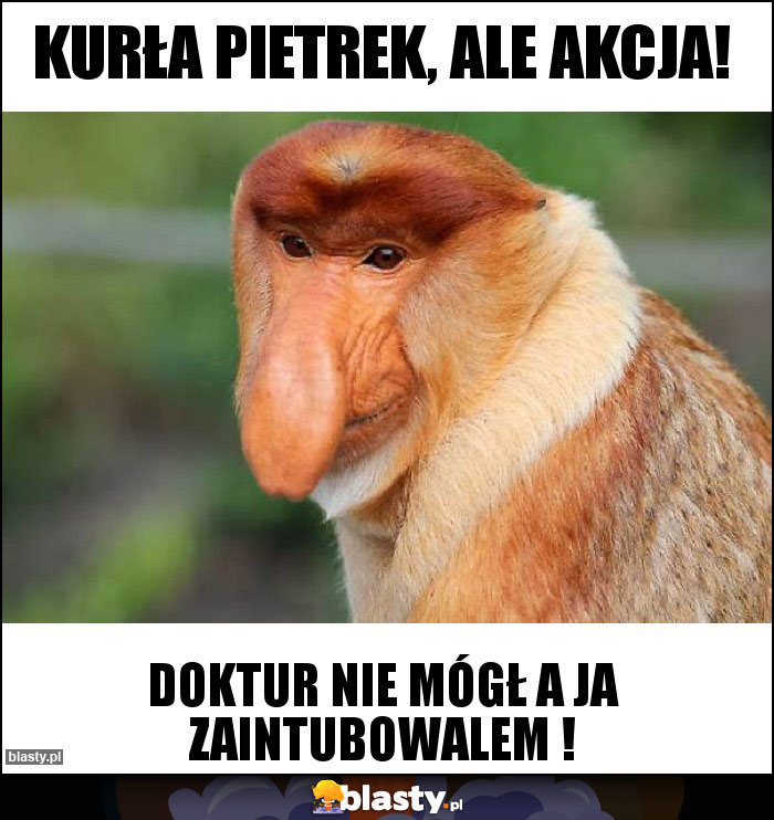 Kurła Pietrek, ale akcja!