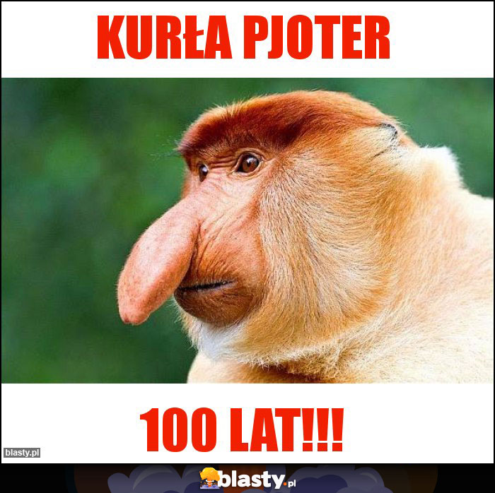 KURŁA PJOTER