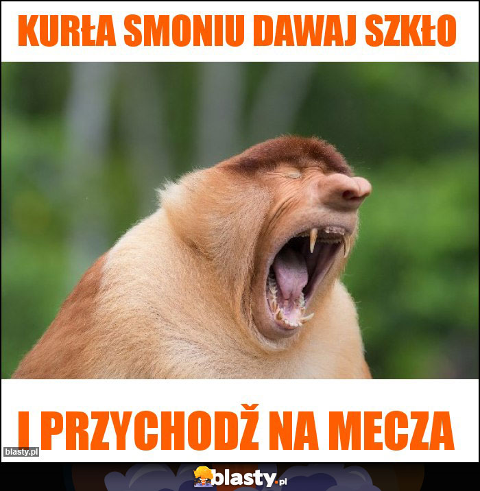 Kurła Smoniu dawaj szkło