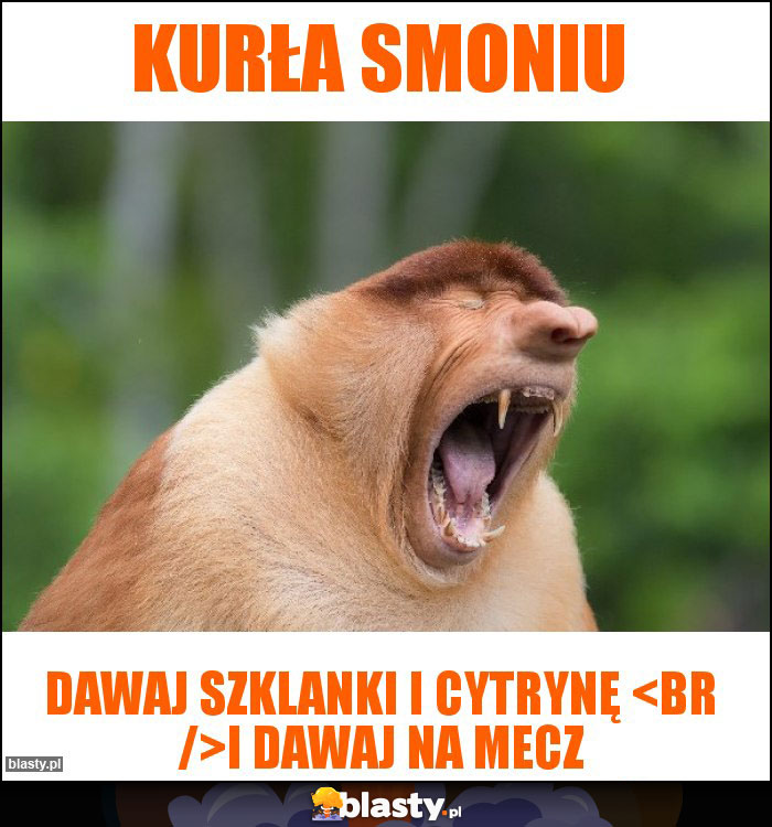 Kurła Smoniu