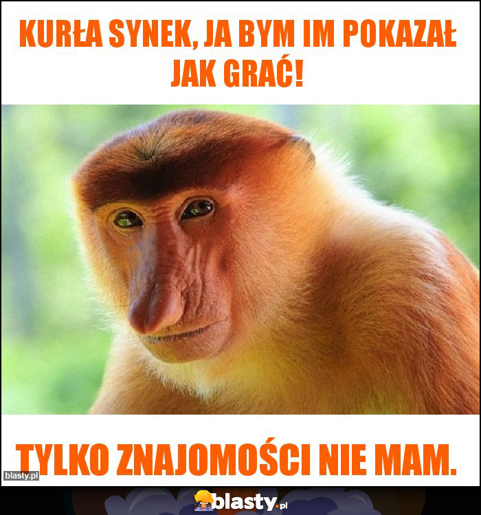 Kurła synek, ja bym im pokazał jak grać!