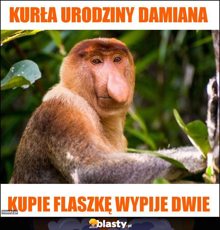 Kurła Urodziny Damiana