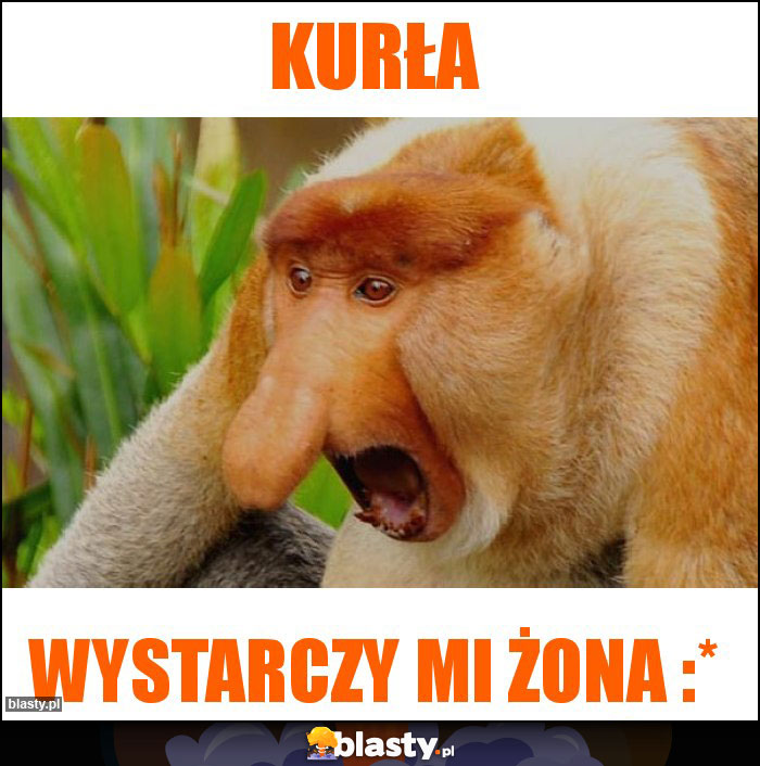 Kurła