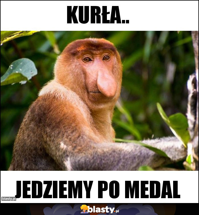 Kurła..