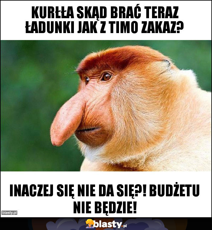 kurłła skąd brać teraz ładunki jak z TIMO zakaz?