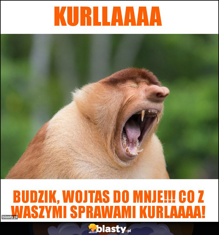 Kurllaaaa