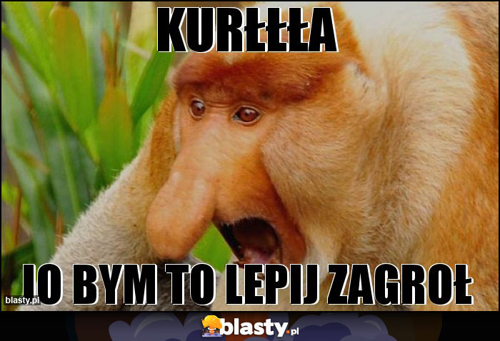 Kurłłła