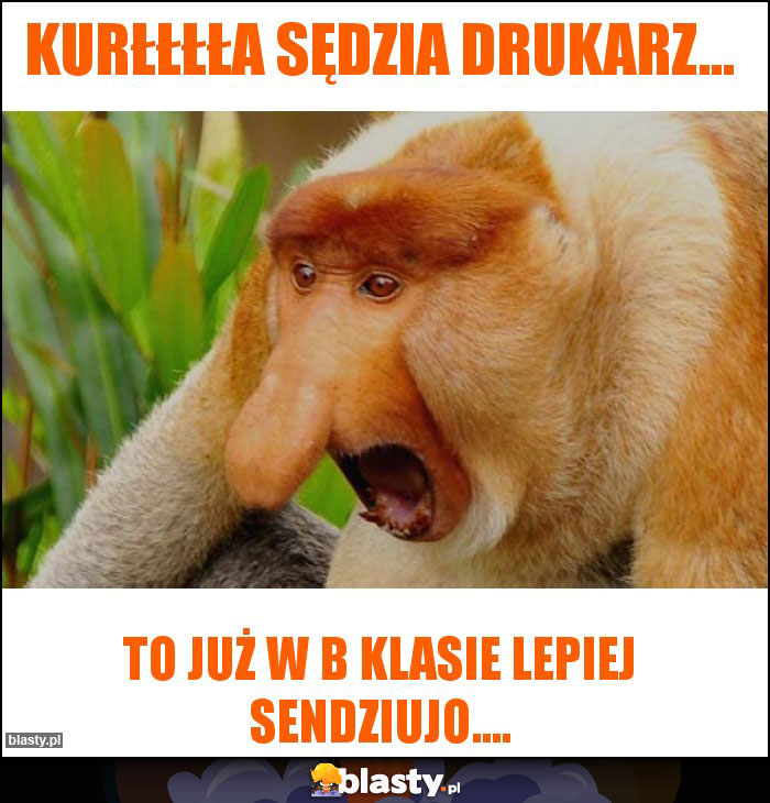 Kurłłłła sędzia drukarz...