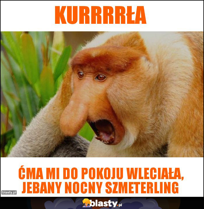 Kurrrrła