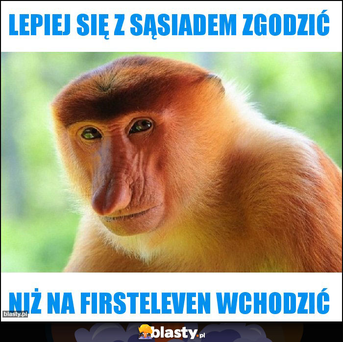 Lepiej się z sąsiadem zgodzić