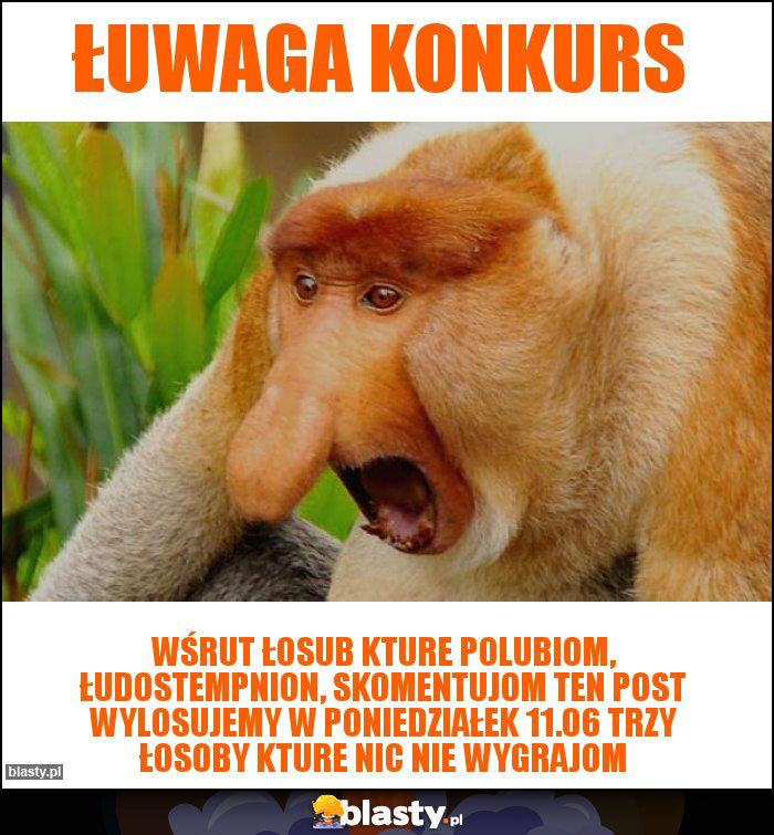 Łuwaga konkurs