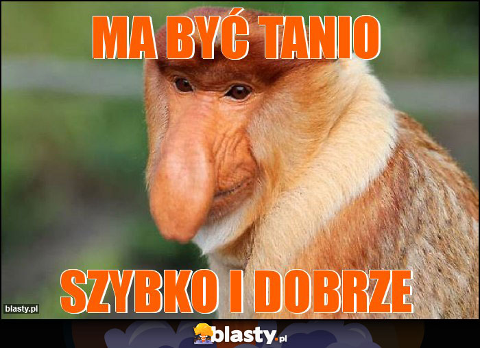 Ma być tanio