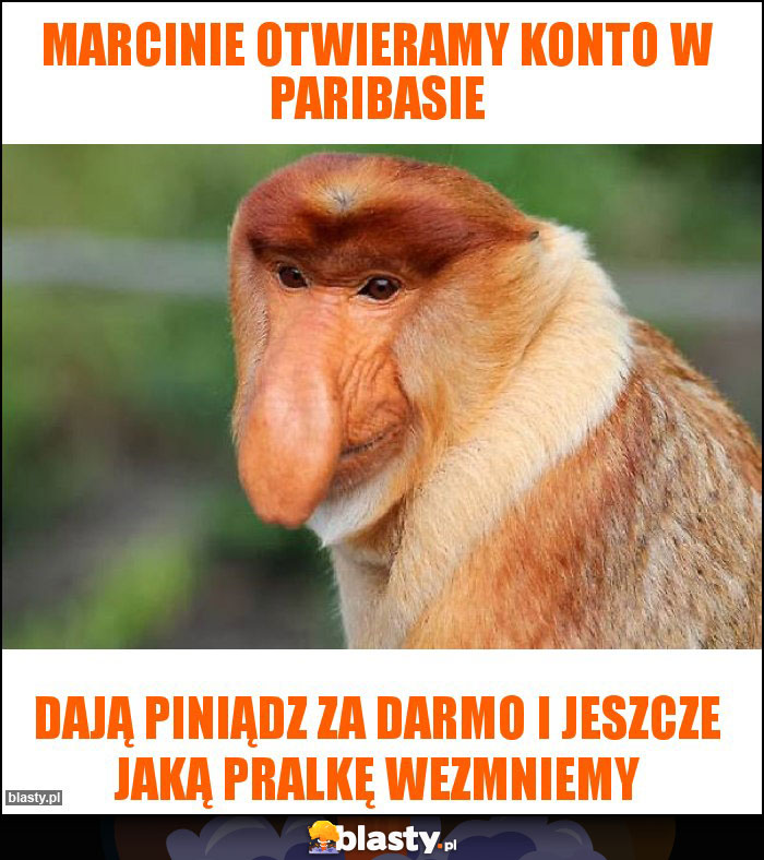 Marcinie otwieramy konto w paribasie