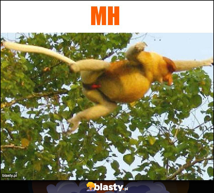 Mh