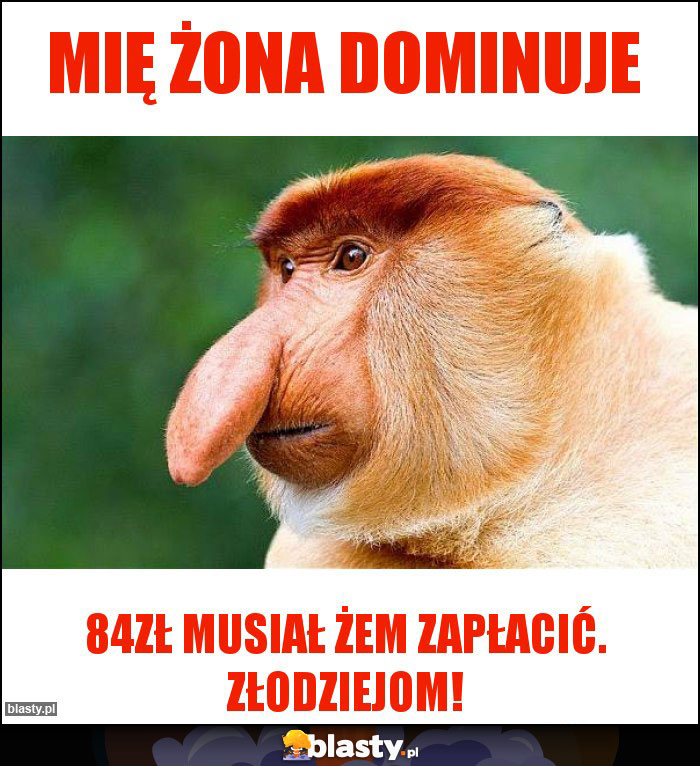 mię żona dominuje