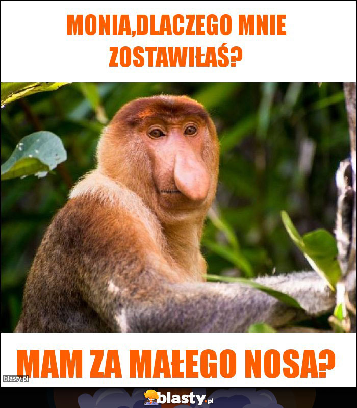 Monia,dlaczego mnie zostawiłaś?