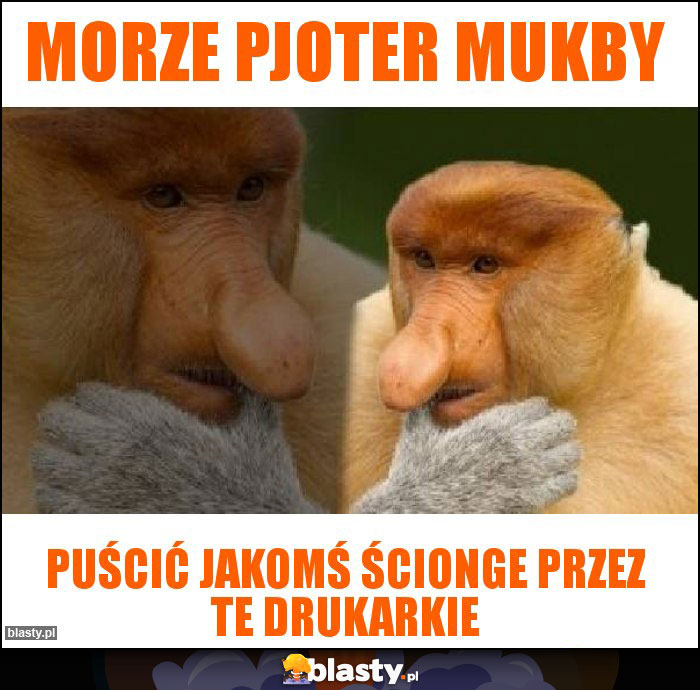 Morze pjoter mukby