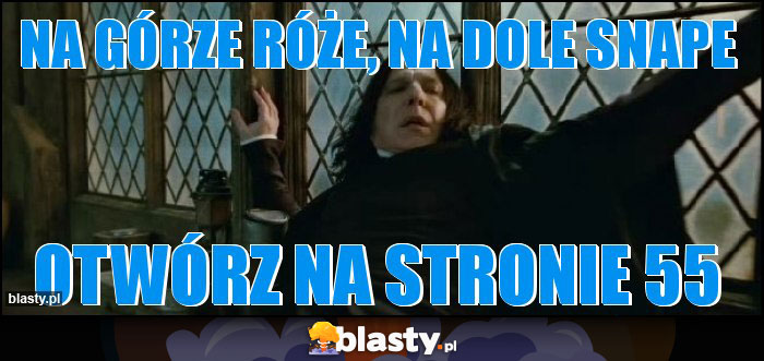 NA GÓRZE RÓŻE, NA DOLE SNAPE