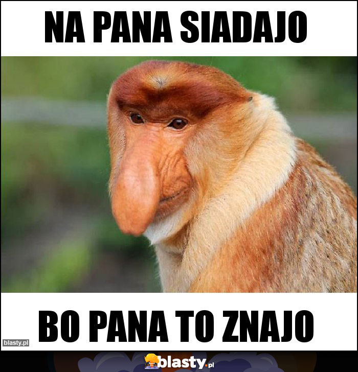 Na Pana siadajo