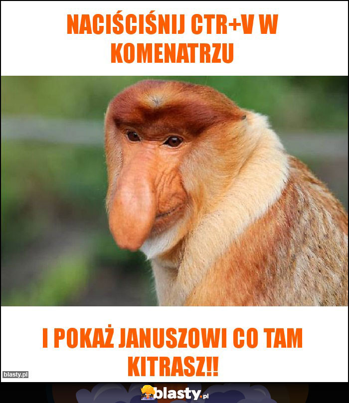 Naciściśnij CTR+V w komenatrzu