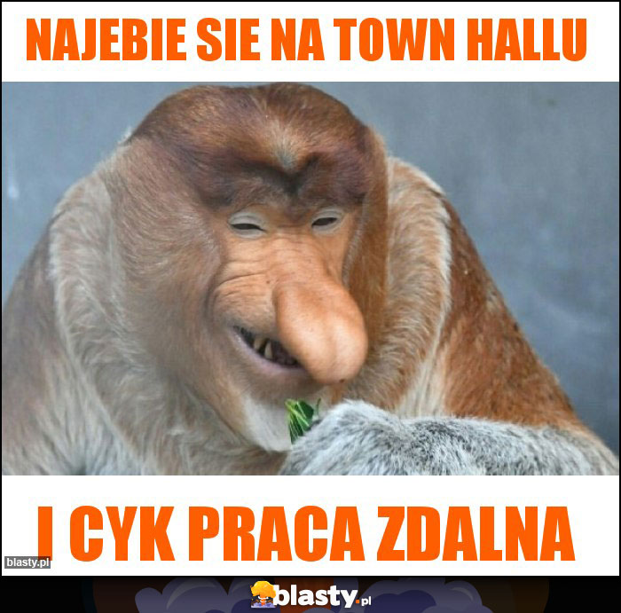 NAJEBIE SIE NA TOWN HALLU