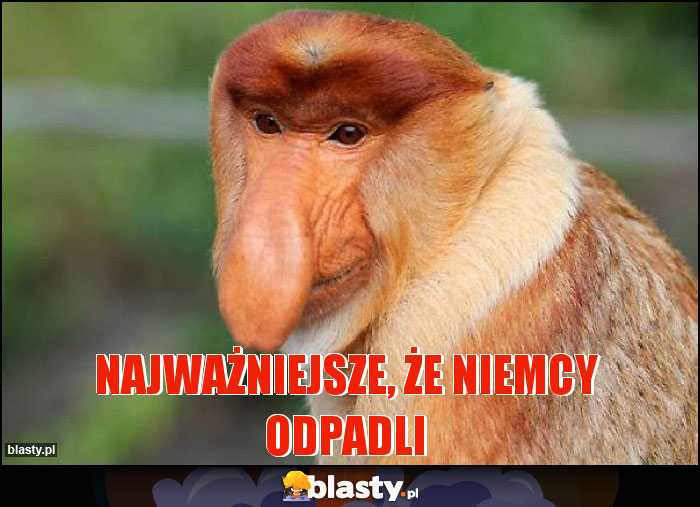 Najważniejsze, że Niemcy odpadli