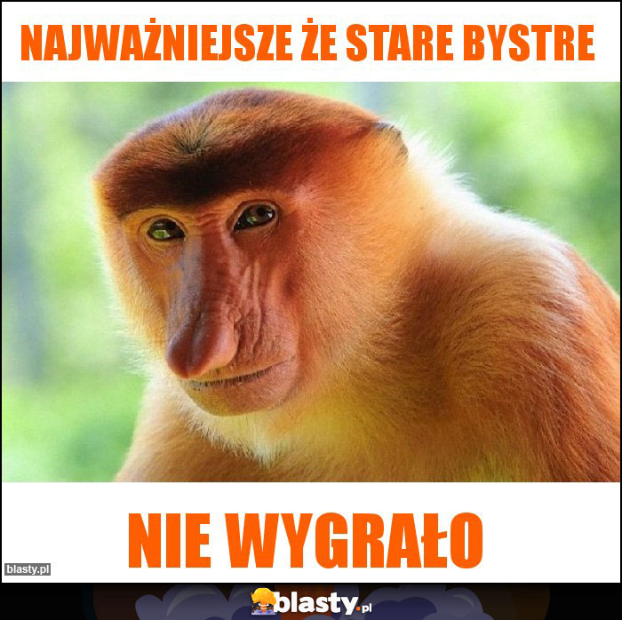 Najważniejsze że stare bystre