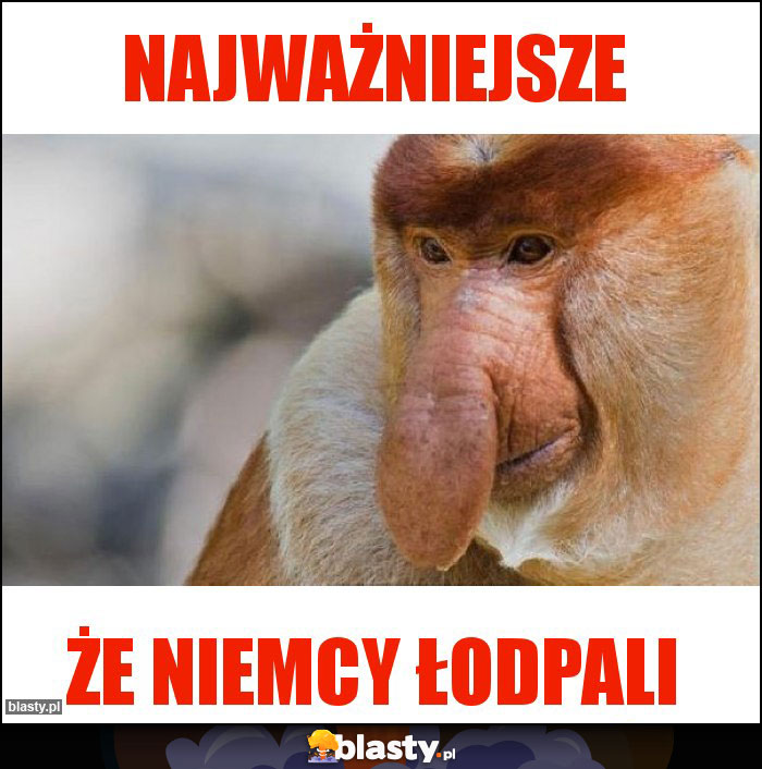 Najważniejsze