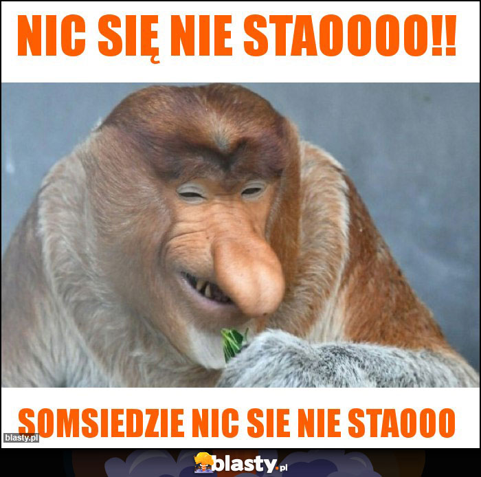 Nic się nie staoooo!!