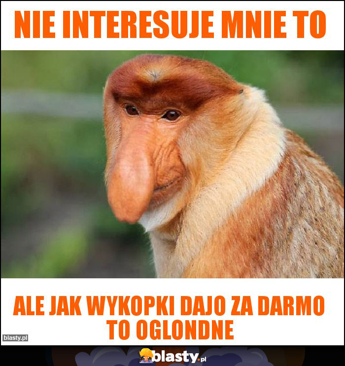 Nie interesuje mnie to