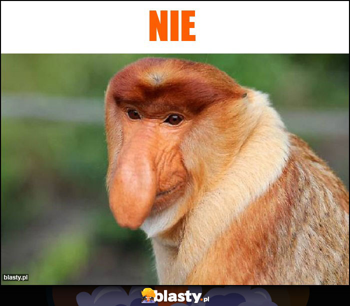 nie